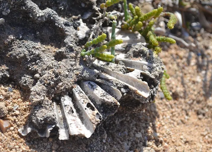 Vintage アパート