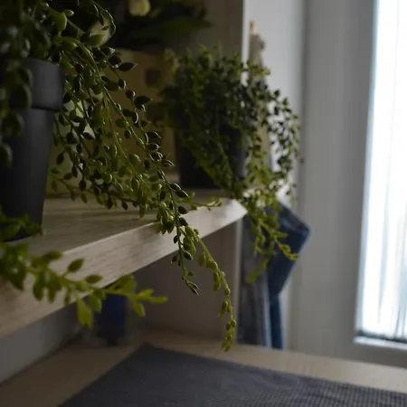 Apartamento Vintage *